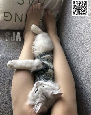 亚洲av欧美国产_剧情片在线观看高清